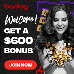 bodog