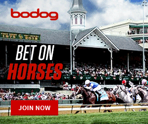 Bodog Horse Racebook Win, Place, Show, Exacta, Trifecta, Superfecta, Daily Double, and Pick 4 bets