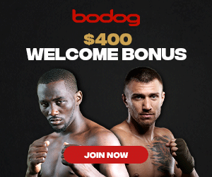 Bodog Boxing Sports Betting